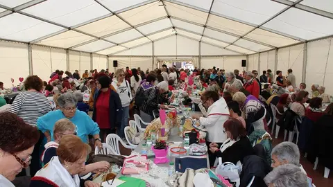 Trabajos durante la Feria de Multilabores de Medina del Campo (06/12) | Valladolid Plural