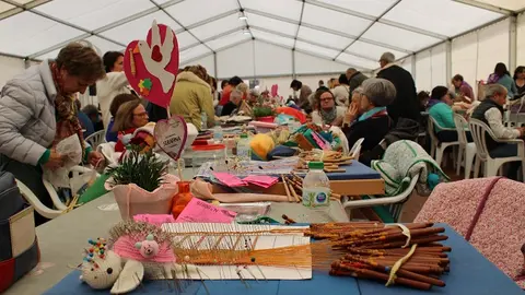 Trabajos durante la Feria de Multilabores de Medina del Campo (10/12) | Valladolid Plural
