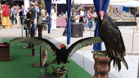 Inauguración del Mercado Comarcal y Feria Agroalimentaria de Villalón de Campos (05/14) | Valladolid Plural