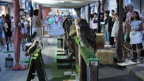 Presentación y desfile inaugural de la Feria Renacentista de Medina del Campo (04/15) | Valladolid Plural