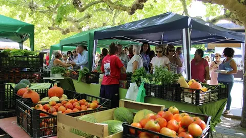 Inauguración de la Feria del Tomate de Tudela de Duero (07/14) | Valladolid Plural