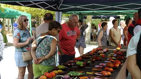 Inauguración de la Feria del Tomate de Tudela de Duero (14/14) | Valladolid Plural