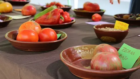 Inauguración de la Feria del Tomate de Tudela de Duero (04/14) | Valladolid Plural