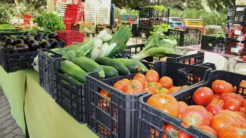 Inauguración de la Feria del Tomate de Tudela de Duero (03/14) | Valladolid Plural