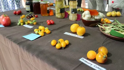 Inauguración de la Feria del Tomate de Tudela de Duero (05/14) | Valladolid Plural