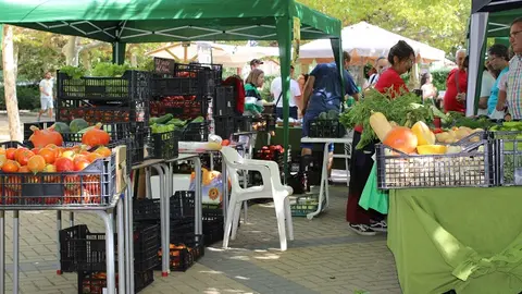 Inauguración de la Feria del Tomate de Tudela de Duero (08/14) | Valladolid Plural
