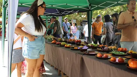 Inauguración de la Feria del Tomate de Tudela de Duero (09/14) | Valladolid Plural