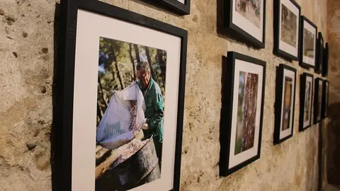 Inauguración del Museo de la Resina en Portillo (11/14) | Valladolid Plural