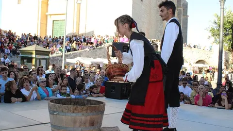 Celebración de la Fiesta de la Vendimia en Cigales (01/16) | Valladolid Plural