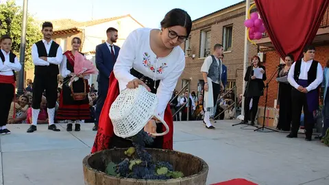 Celebración de la Fiesta de la Vendimia en Cigales (03/16) | Valladolid Plural