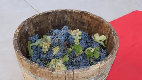 Celebración de la Fiesta de la Vendimia en Cigales (04/16) | Valladolid Plural