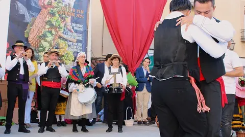 Celebración de la Fiesta de la Vendimia en Cigales (07/16) | Valladolid Plural