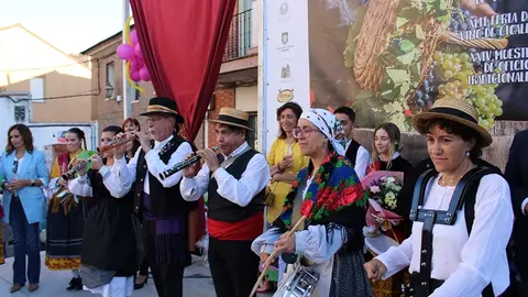Celebración de la Fiesta de la Vendimia en Cigales (09/16) | Valladolid Plural