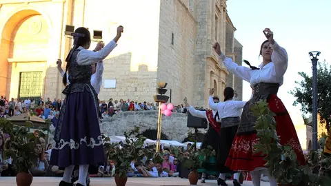 Celebración de la Fiesta de la Vendimia en Cigales (16/16) | Valladolid Plural