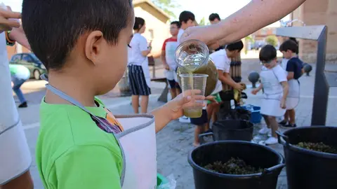 Celebración de las IV Jornadas del Mosto en La Seca (06/16) | Valladolid Plural