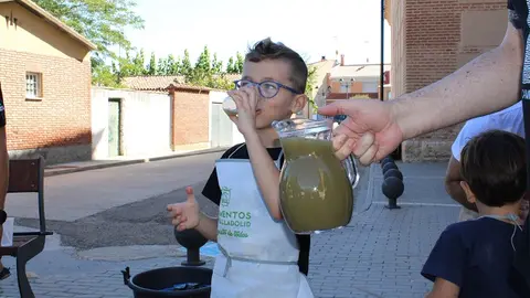 Celebración de las IV Jornadas del Mosto en La Seca (07/16) | Valladolid Plural