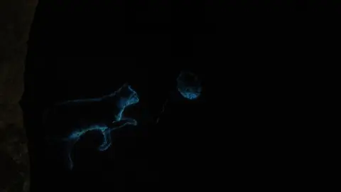 Halloween en el Castillo Encantado de Trigueros del Valle (10/14) | Valladolid Plural