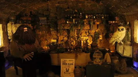 Halloween en el Castillo Encantado de Trigueros del Valle (06/14) | Valladolid Plural