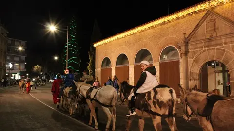 Cabalgata de Pajes Reales de Medina del Campo 2024 (07/13)