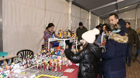 Inauguración de la I Feria del Coleccionismo de La Cistérniga (11/14)