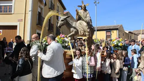 Procesión de Las Palmas de Medina de Rioseco (03/13) | Valladolid Plural