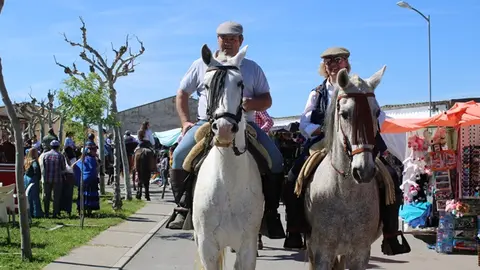 Romería flamenca de Fresno el Viejo 2024 (02/18) | Valladolid Plural