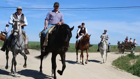 Romería flamenca de Fresno el Viejo 2024 (04/18) | Valladolid Plural