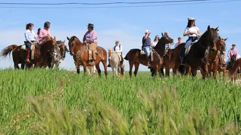 Romería flamenca de Fresno el Viejo 2024 (06/18) | Valladolid Plural