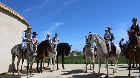 Romería flamenca de Fresno el Viejo 2024 (08/18) | Valladolid Plural
