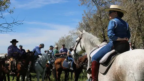 Romería flamenca de Fresno el Viejo 2024 (10/18) | Valladolid Plural