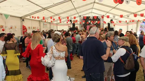 Romería flamenca de Fresno el Viejo 2024 (17/18) | Valladolid Plural