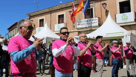 Pregón de la Fiesta del Verdejo de La Seca (04/17) | Valladolid Plural