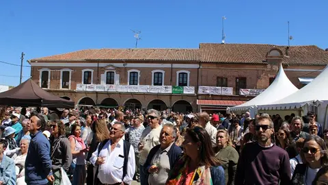 Pregón de la Fiesta del Verdejo de La Seca (12/17) | Valladolid Plural