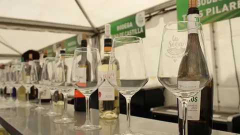 Pregón de la Fiesta del Verdejo de La Seca (16/17) | Valladolid Plural