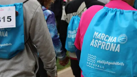 Celebración de la Marcha Asprona de Valladolid 2024 (11/17) | Valladolid Plural