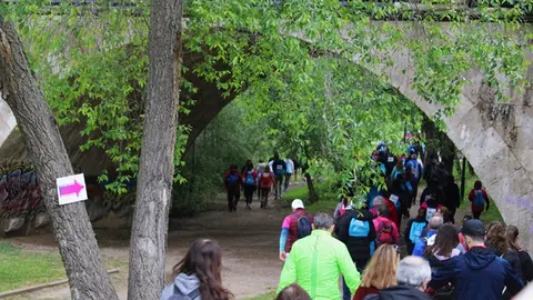 Celebración de la Marcha Asprona de Valladolid 2024 (13/17) | Valladolid Plural