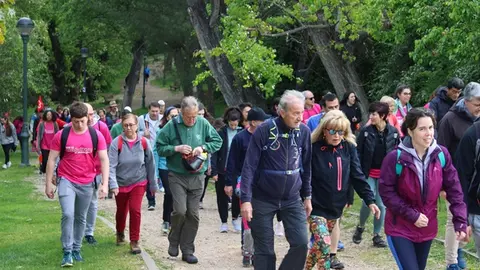 Celebración de la Marcha Asprona de Valladolid 2024 (17/17) | Valladolid Plural