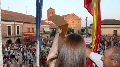 Desfile de peñas y pregón de las Fiestas de los Novillos de La Seca (17/17) | Valladolid Plural