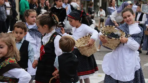 Desfile y Pisado de Uva de la Fiesta de la Vendimia de Peñafiel (01/16) | Valladolid Plural