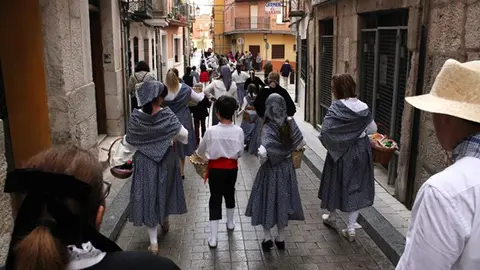 Desfile y Pisado de Uva de la Fiesta de la Vendimia de Peñafiel (04/16) | Valladolid Plural