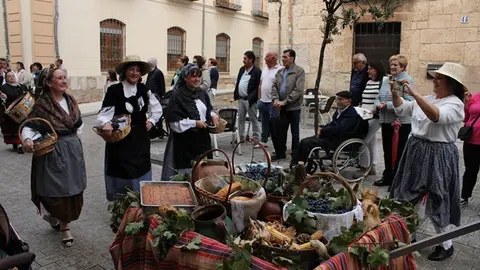 Desfile y Pisado de Uva de la Fiesta de la Vendimia de Peñafiel (05/16) | Valladolid Plural