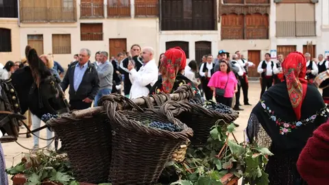 Desfile y Pisado de Uva de la Fiesta de la Vendimia de Peñafiel (07/16) | Valladolid Plural