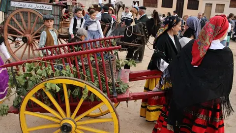 Desfile y Pisado de Uva de la Fiesta de la Vendimia de Peñafiel (08/16) | Valladolid Plural