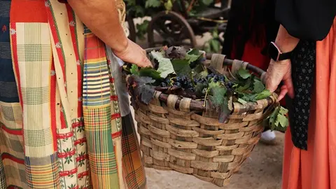 Desfile y Pisado de Uva de la Fiesta de la Vendimia de Peñafiel (09/16) | Valladolid Plural