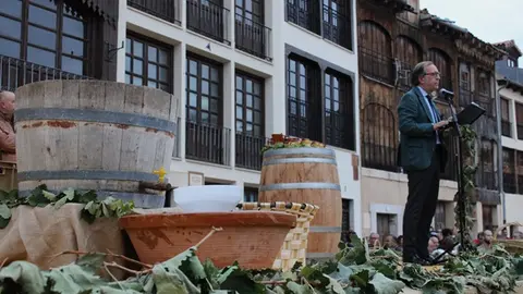 Desfile y Pisado de Uva de la Fiesta de la Vendimia de Peñafiel (10/16) | Valladolid Plural