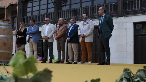 Desfile y Pisado de Uva de la Fiesta de la Vendimia de Peñafiel (12/16) | Valladolid Plural