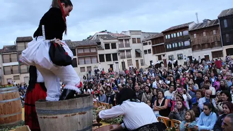 Desfile y Pisado de Uva de la Fiesta de la Vendimia de Peñafiel (14/16) | Valladolid Plural