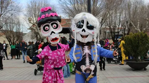 Desfile de disfraces de Carnaval en Zaratán (01/16) | Valladolid Plural