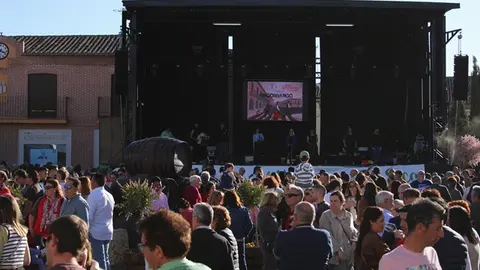 Fiesta del Verdejo y Festival Sarmiento Folk de La Seca (01/17) | Valladolid Plural