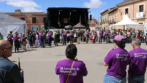 Fiesta del Verdejo y Festival Sarmiento Folk de La Seca (06/17) | Valladolid Plural